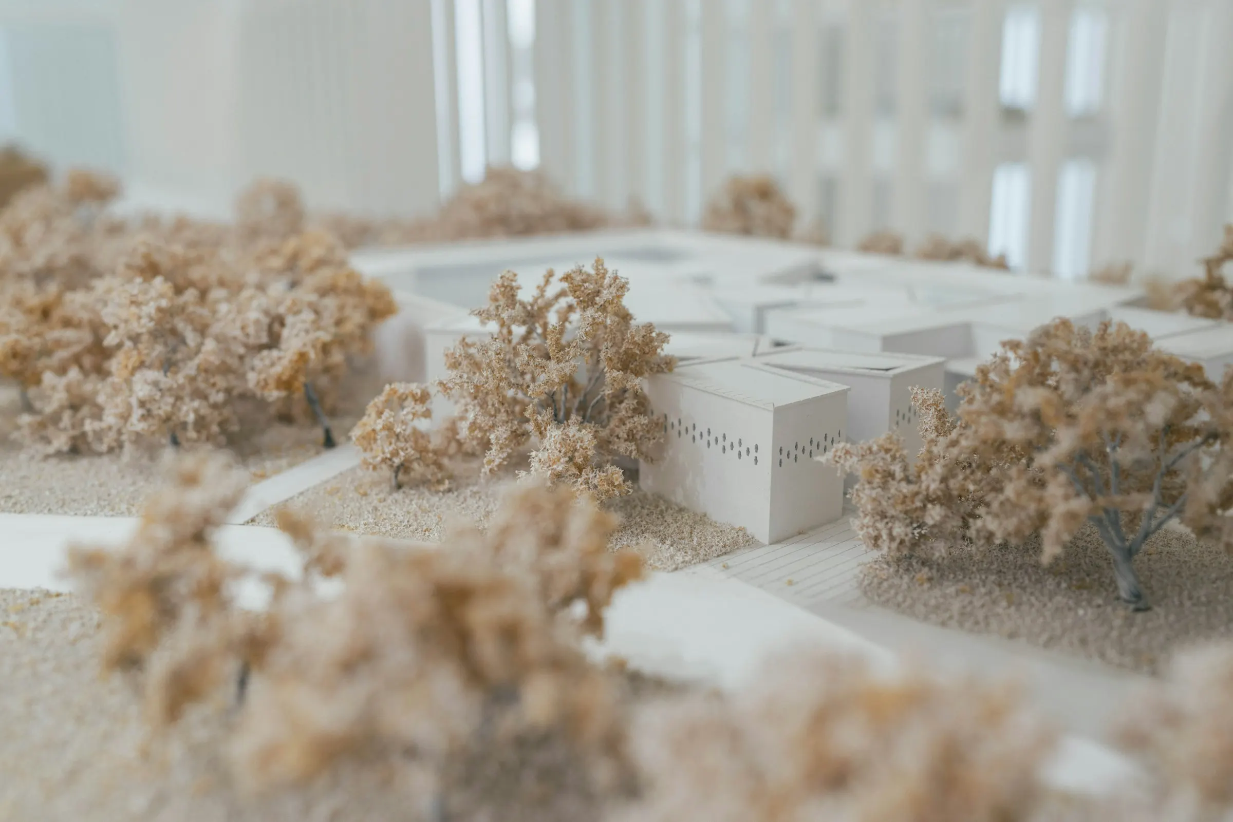 An architectural site model: white building blocks among small model trees, in soft daylight.